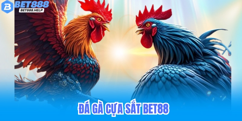 Đá Gà Cựa Sắt Bet88 - Cách Chơi Dành Cho Tân Thủ 5 Đá Gà Cựa Sắt Bet88 - Cách Chơi Dành Cho Tân Thủ